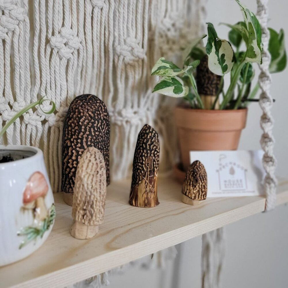 Mixed set of Carved Morel Merchrooms Variety Pack Plant Stake‎ Decor Mushroom